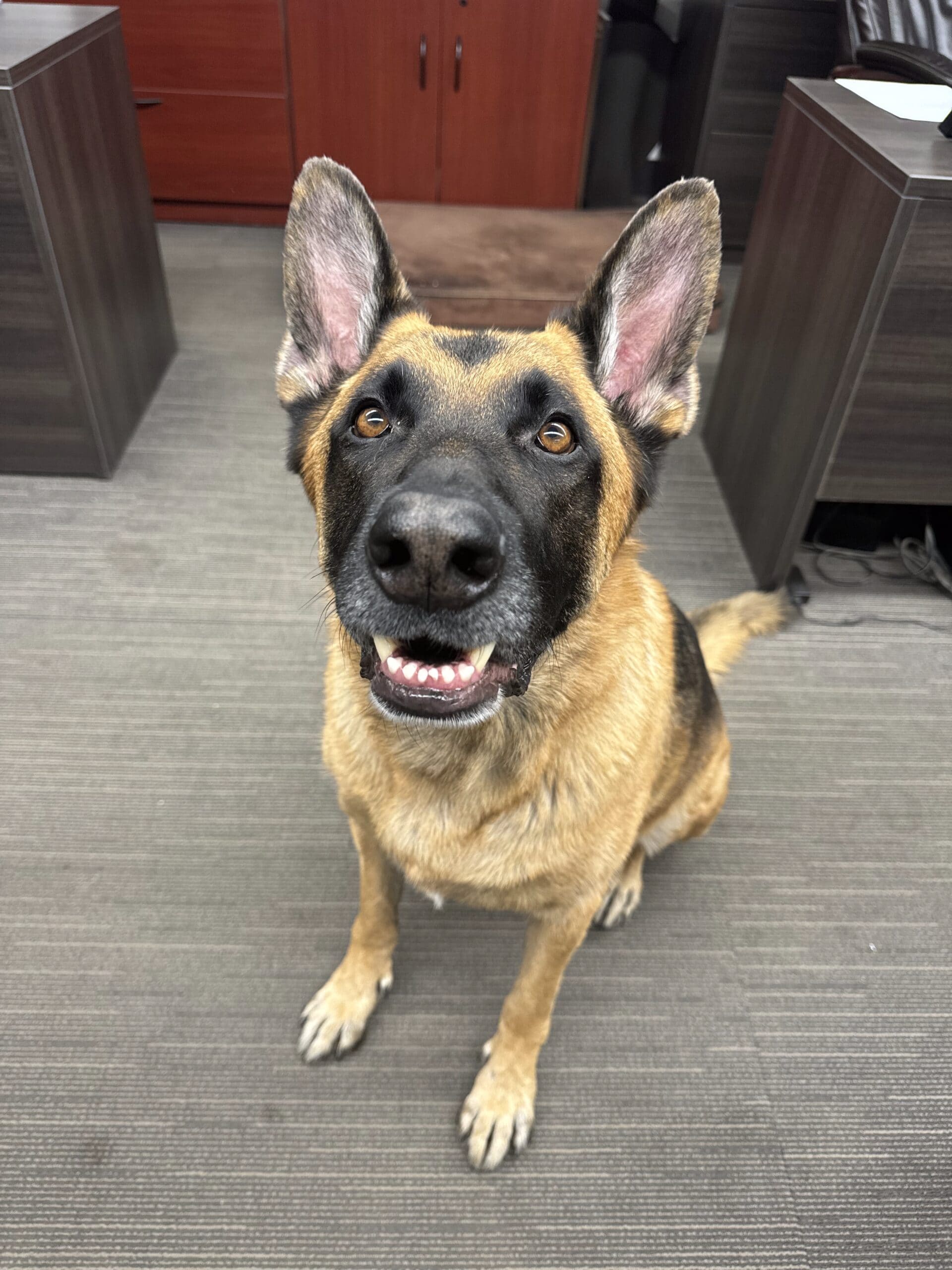 Duke McKenzie, Greeter